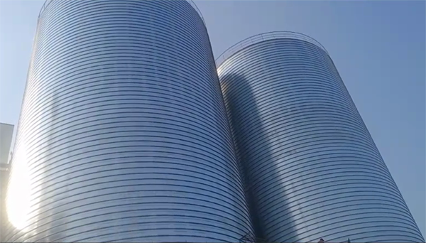 岫岩2座混凝土高架卷板仓